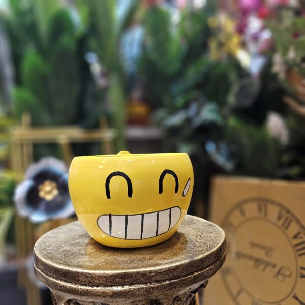 Emoji FLower Planter