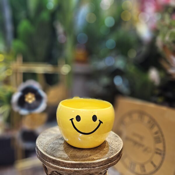 Emoji FLower Planter