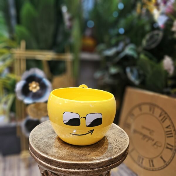 Emoji FLower Planter