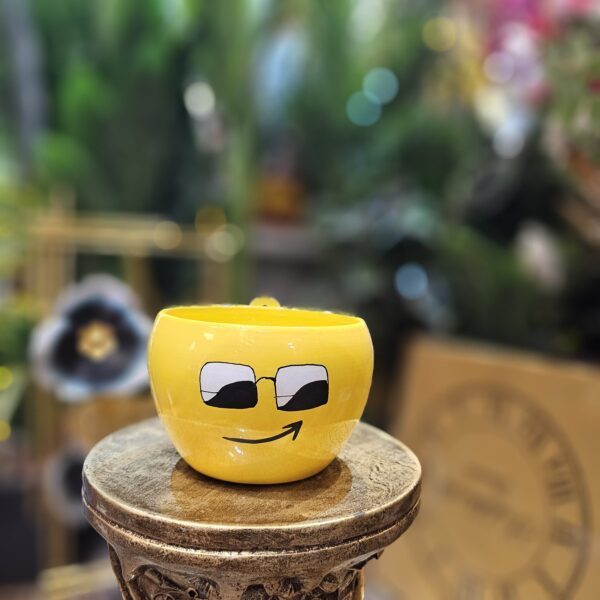 Emoji FLower Planter